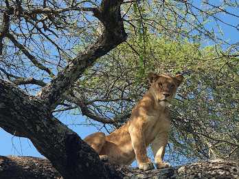 Lake Manyara